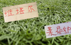 海港队首发仅派出两名外援迎战辽宁队，尽管实力有所差距，但海港依然凭借双外援配置保持基本竞争力